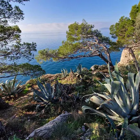 Mirna * Makarska