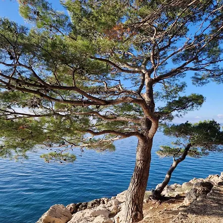 Mirna Makarska