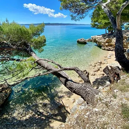 Mirna Makarska